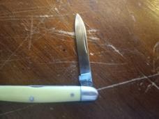 Case XX  32017 Dot Pen Senator Knife