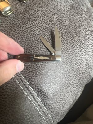 1905-1914 W R Case & Sons Bradford PA 6229 1/2 Goregous Rogers Bone Handle Tadpole With Diamond Shie
