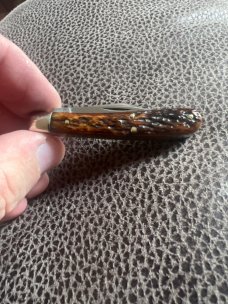 1905-1914 W R Case & Sons Bradford PA 6229 1/2 Goregous Rogers Bone Handle Tadpole With Diamond Shie