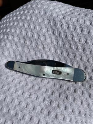 Case XX Seahorse Whittler (8355WH)