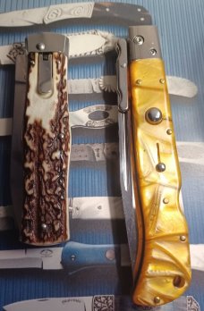 AKC ROMA AND MIKOV PREDATOR 