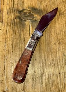 Taylor's Eye Witness Premium Barlow Clip with Amboyna Scales and Back Spring File work Taylor's Eye Witness Premium Barlow Clip with Amboyna Scales and Back Spring File work