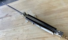 AGA 11 inch Maltese 