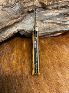 Cattaraugus Cutlery Co., Little Valley NY., 21349 Swell End Jack, Wormgroove Bone, 3 3/4" Cattaraugus Cutlery Co., Little Valley NY., 21349 Swell End Jack, Wormgroove Bone, 3 3/4"