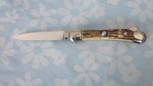 Vintage stag Birdshead lock back.
