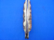 Case XX Classic Sunfish/Toenail Genuine Himalayan Sheep Horn 1 of 4 Knife With Dueling Bull Etch Case XX Classic Sunfish/Toenail Genuine Himalayan Sheep Horn 1 of 4 Knife With Dueling Bull Etch