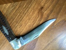 CASE TESTED XX FOLDING HUNTER GREEN BONE