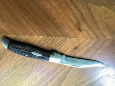 CASE TESTED XX FOLDING HUNTER GREEN BONE