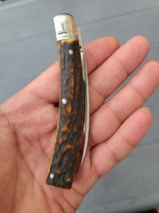 4" Custom Made Curved Knife, Premium Stag Handle, Rare Pattern