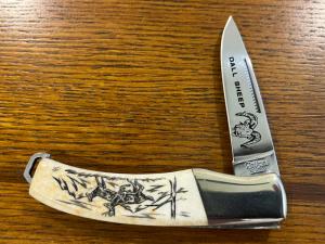 National Blade Scrimshaw Dall Sheep Drop Point Lockback Folding Knife Japan