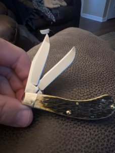 Rare Case Brothers Cutlery Co USA TB62110 SS Rare Encyclopedia LE #34 Tony Bose Saddlehorn Mint Rare Case Brothers Cutlery Co USA TB62110 SS Rare Encyclopedia LE #34 Tony Bose Saddlehorn Mint