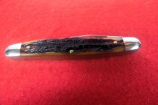 QUEEN CUTLERY CO TITUSVILLE #66 MUSKRAT AMBER BONE STAG TOOL STEEL MINT YR.UNKNOWN QUEEN CUTLERY CO TITUSVILLE #66 MUSKRAT AMBER BONE STAG TOOL STEEL MINT YR.UNKNOWN