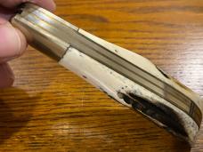 Parker Cut. Co. 2-Blade Teardrop Folding Knife w/Stag Scales