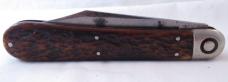 Pressbutton Folding Hunter