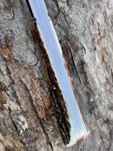 BENINI - FACAS CUSTOM CPM 154 BLADE STEEL STAG HANDLE FOLDING HUNTER **VERY NICE BUILD**