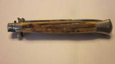 11 inch Stag Transitional 11 inch Stag Transitional