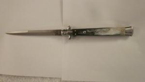 13" Italian Brazilian Horn