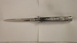 13" Italian Brazilian Horn