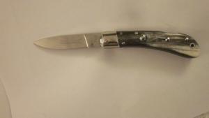 AKC Speed Hunter