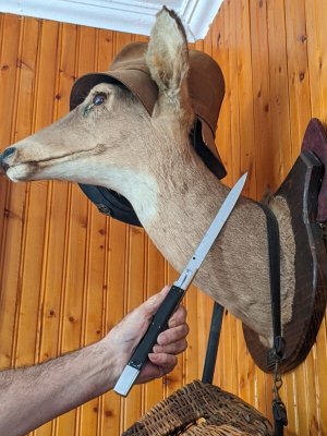 RARE REVERSE PICKLOCK 16.5" ARMENIAN DOCTORS KNIFE AUTO W/WALL DISPLAY STAND  