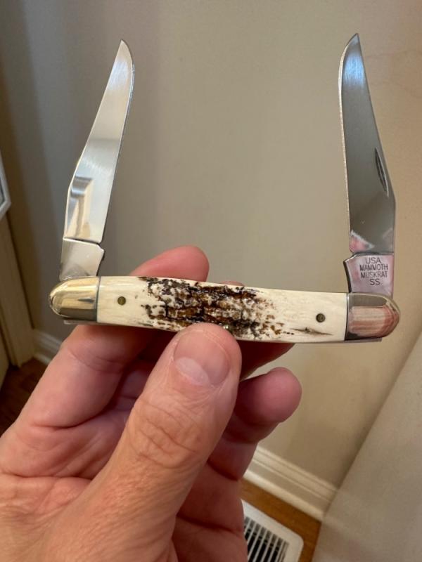 2003 Case XX Mammoth Ivory Muskrat. Mint condition! 2003 Case XX Mammoth Ivory Muskrat. Mint condition!