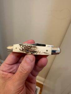 2003 Case XX Mammoth Ivory Muskrat. Mint condition! 2003 Case XX Mammoth Ivory Muskrat. Mint condition!