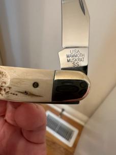 2003 Case XX Mammoth Ivory Muskrat. Mint condition! 2003 Case XX Mammoth Ivory Muskrat. Mint condition!