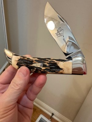 1975 CASE XX P172 BUFFALO STAG HANDLE KNIFE. BEAUTIFUL, LARGE CLASSIC!