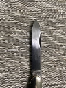 CASE WINCHESTER. JUMBO SLEEVEBOARD BONE