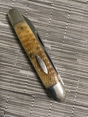 CASE WINCHESTER. JUMBO SLEEVEBOARD BONE