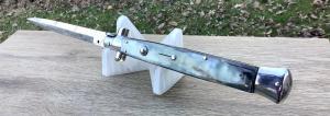 Frank B 13 inch Brazilian Horn Dolphin 