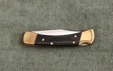 Buck 110 Auto Folding Hunter Knife 2019 Mfg NIB Buck 110 Auto Folding Hunter Knife 2019 Mfg NIB