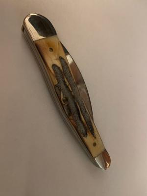 Case Stag Seahorse