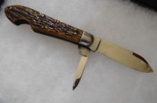Antique Crown Cutlery Co New York (1900-1930) Bone Handle Easy Open Tear Drop Jack Pocket Knife