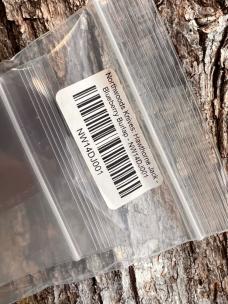 GEC TIDIOUTE * SJE 153124 SJE RUST RED SAWCUT BARLOW GEC TIDIOUTE * SJE 153124 SJE RUST RED SAWCUT BARLOW
