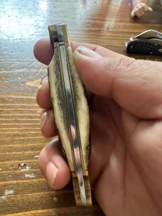 Puma auto side lever
