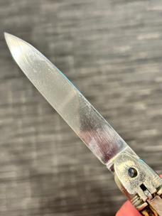 Anton Wingen Jr Springer Anton Wingen Jr Springer