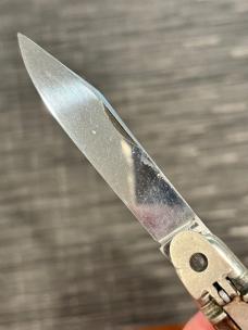 Weidmennsheil Springer Weidmennsheil Springer