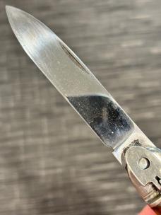 Aged Stag Bonsa Springer Aged Stag Bonsa Springer