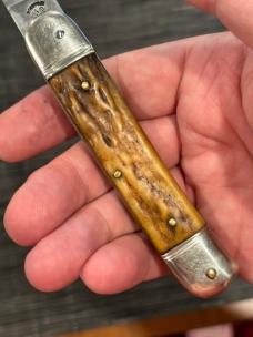 Aged Stag Bonsa Springer Aged Stag Bonsa Springer
