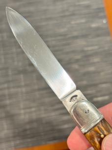 Aged Stag Bonsa Springer Aged Stag Bonsa Springer