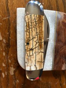 Case Classic Mastodon Bark Jim Parker COA Case Classic Mastodon Bark Jim Parker COA