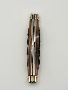 Colt CT211 Congress Brown Stag Pocket knife #43 Colt CT211 Congress Brown Stag Pocket knife #43
