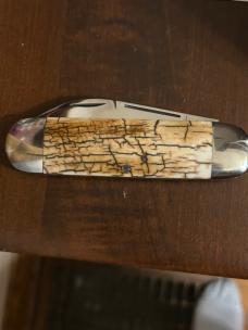 Case Classic Mastodon Bark Ivory Elephant Toe Sunfish Proto Case Classic Mastodon Bark Ivory Elephant Toe Sunfish Proto