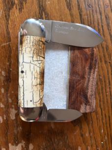 Case Classic Mastodon Bark Ivory Elephant Toe Sunfish Proto Case Classic Mastodon Bark Ivory Elephant Toe Sunfish Proto