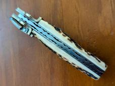 AKC / CAMPOLIN LEVERLETTO OR DOMINUS COPY BEAUTIFUL GNARLY STAG 15 CM--6 INCH AKC / CAMPOLIN LEVERLETTO OR DOMINUS COPY BEAUTIFUL GNARLY STAG 15 CM--6 INCH