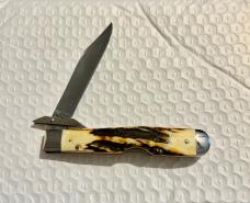1976 Grey Etched Cheetah 1976 Grey Etched Cheetah