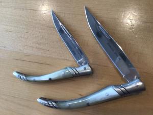 Spanish Falcon Stainless Blonde Horn Large / Small Pair