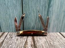 RARE ! MINT! 2007 CASE XX I468 SS Small Congress Fossil Knife W/ FLUTED BOLSTERS RARE ! MINT! 2007 CASE XX I468 SS Small Congress Fossil Knife W/ FLUTED BOLSTERS