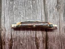 RARE ! MINT! 2007 CASE XX I468 SS Small Congress Fossil Knife W/ FLUTED BOLSTERS RARE ! MINT! 2007 CASE XX I468 SS Small Congress Fossil Knife W/ FLUTED BOLSTERS
